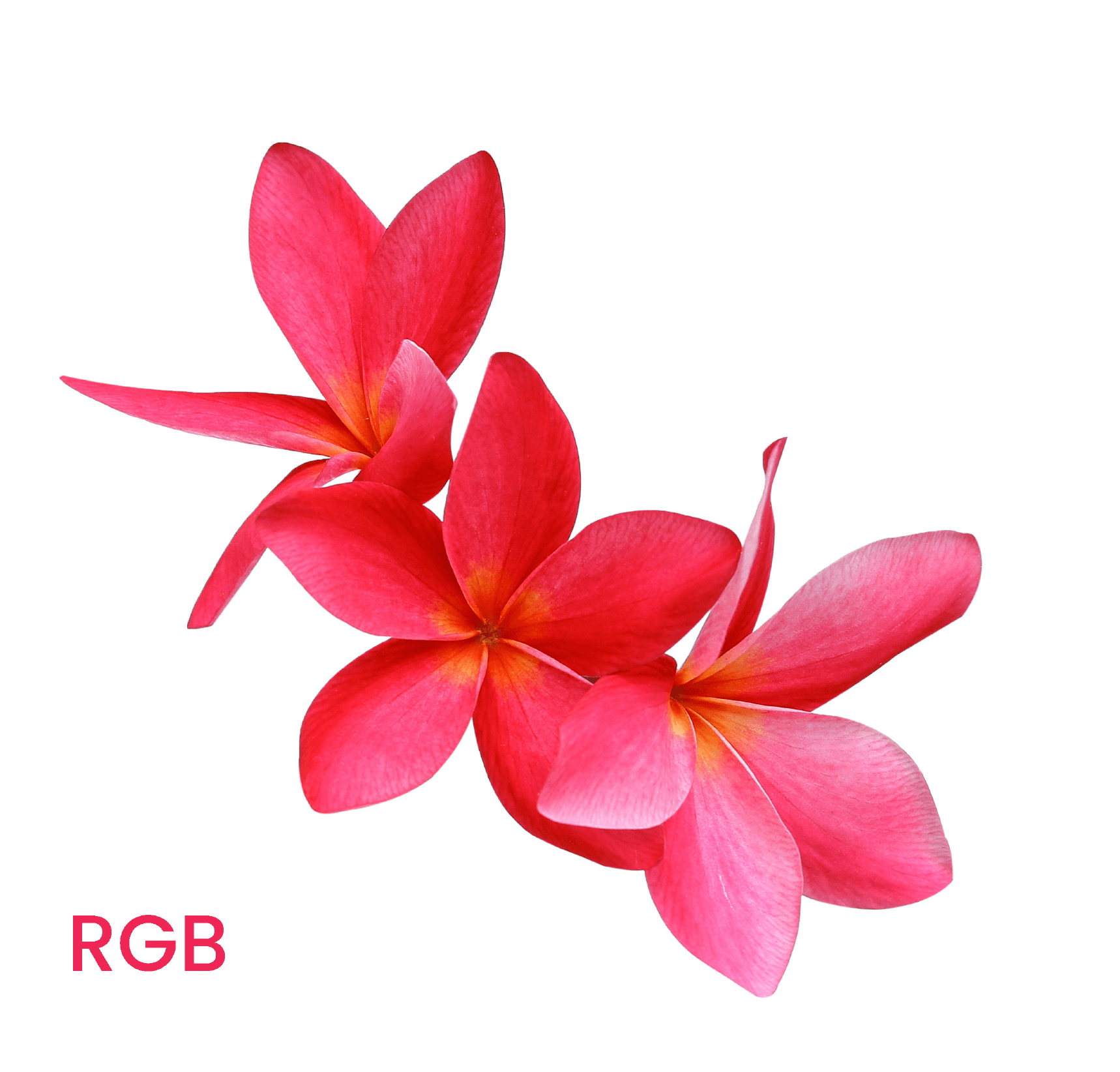 Flower RGB